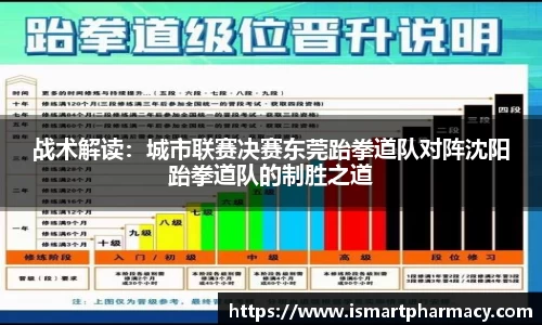 战术解读：城市联赛决赛东莞跆拳道队对阵沈阳跆拳道队的制胜之道