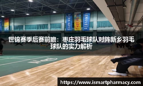 世锦赛季后赛前瞻：枣庄羽毛球队对阵新乡羽毛球队的实力解析